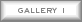  Gallery I 
