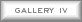  Gallery IV 